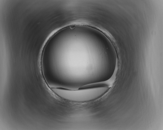 X0000114441248200910161349