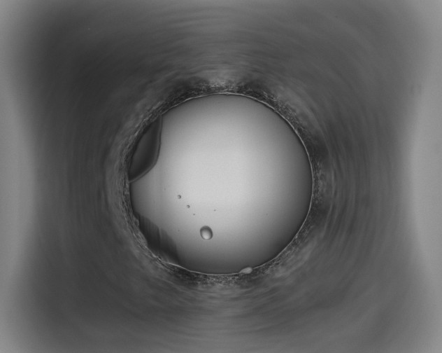 X0000114441249200910161348