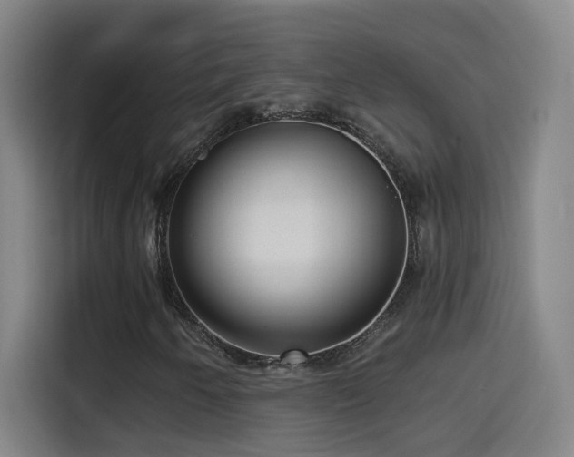 X0000114441250200910161348