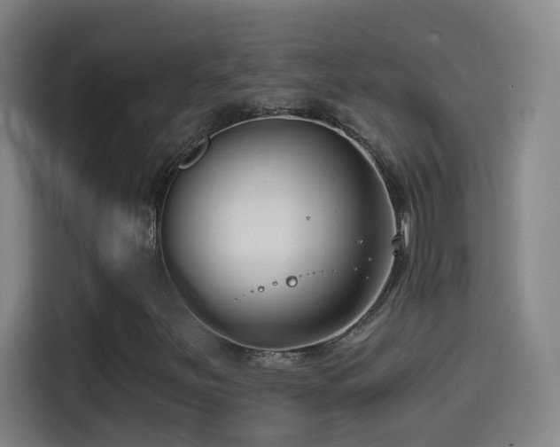 X0000114441251200910161348