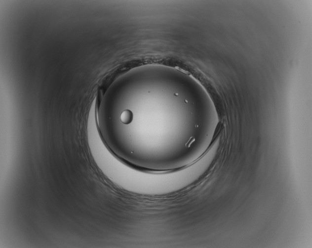 X0000114441252200910161348