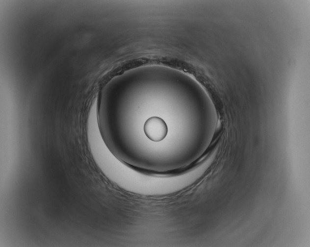 X0000114441253200910161348