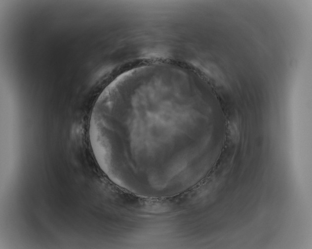 X0000114441254200910161348
