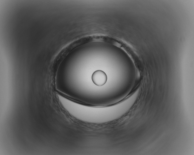 X0000114441255200910161348