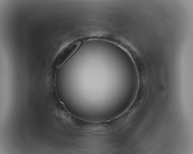 X0000114441256200910161348