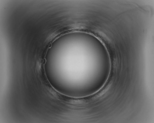 X0000114441257200910161348