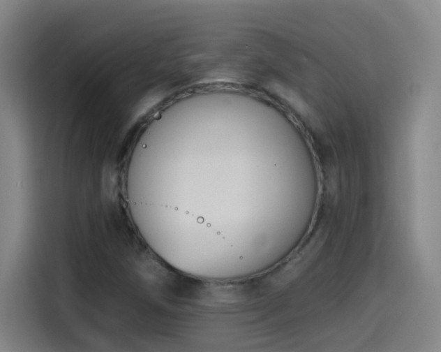 X0000114441258200910161348
