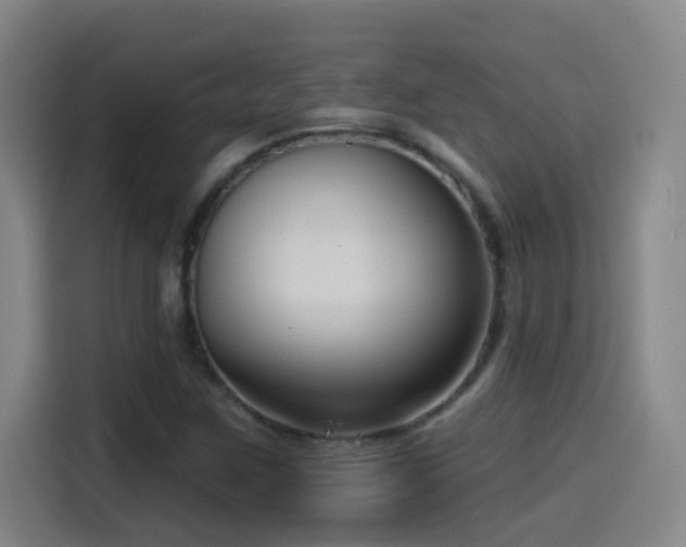 X0000114441259200910161348