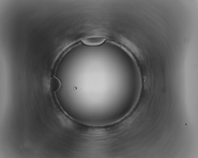X0000114441260200910161348