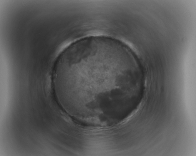 X0000114441263200910161348