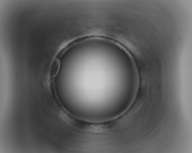 X0000114441264200910161348