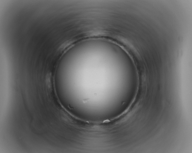 X0000114441265200910161348