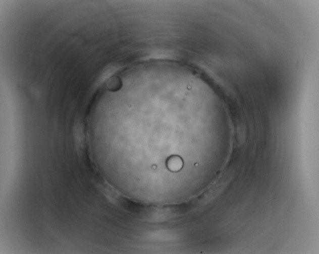X0000114441266200910161348