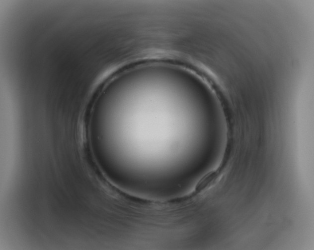 X0000114441267200910161348