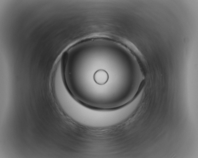 X0000114441268200910161348