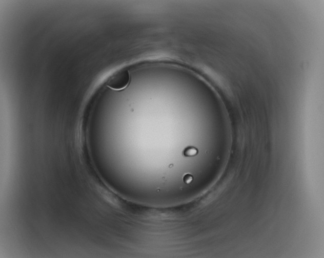 X0000114441270200910161348