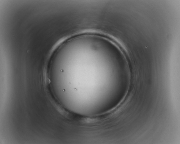 X0000114441271200910161348