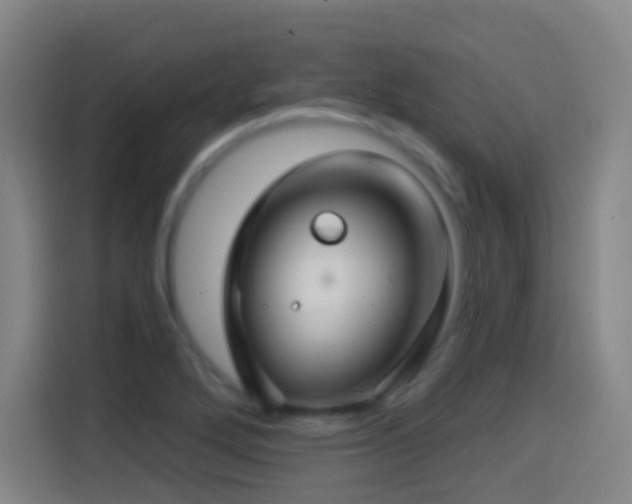 X0000114441272200910161348