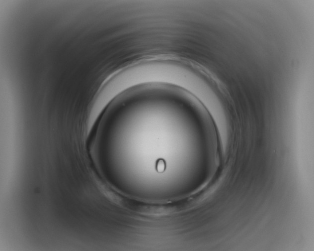X0000114441273200910161348
