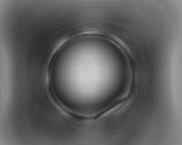 X0000114441274200910161348