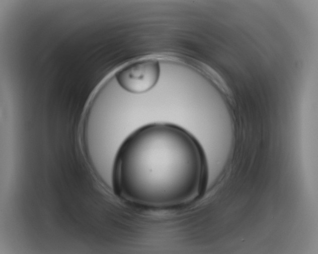 X0000114441276200910161348