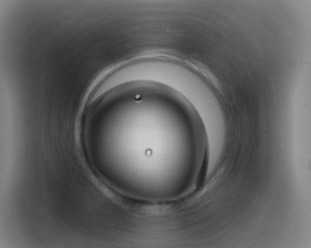 X0000114441277200910161348