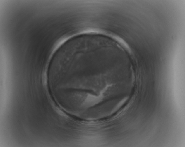 X0000114441279200910161348
