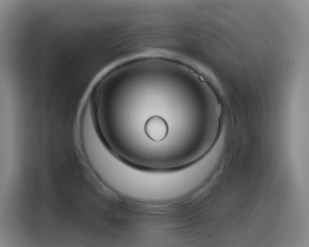 X0000114441280200910161348