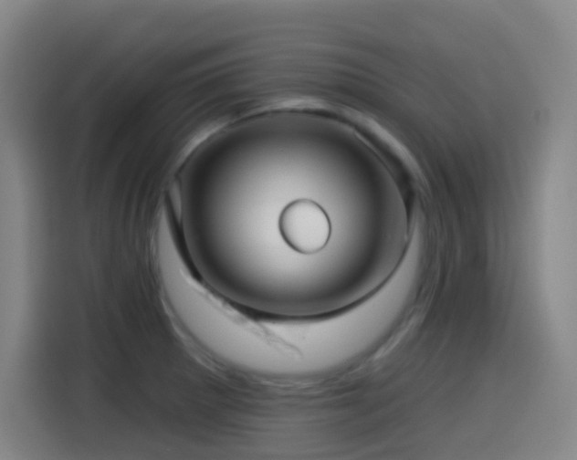 X0000114441281200910161348