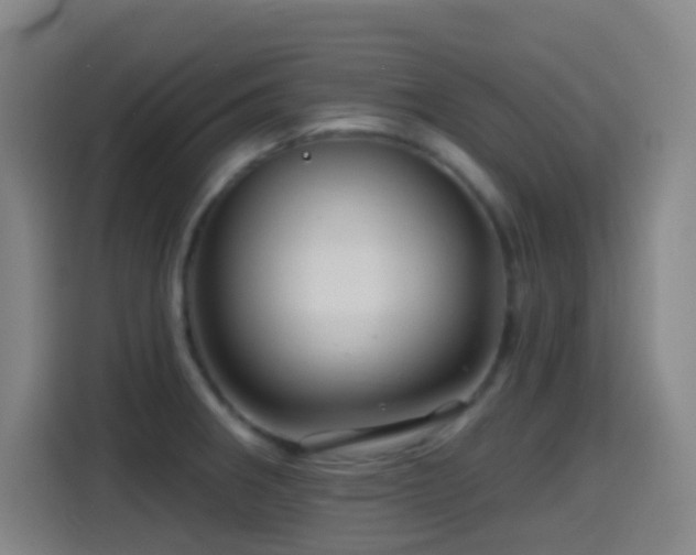 X0000114441282200910161348