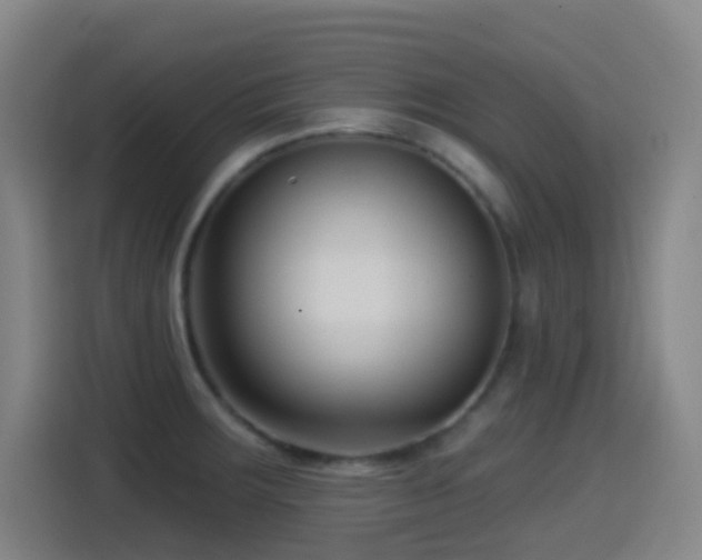 X0000114441283200910161348