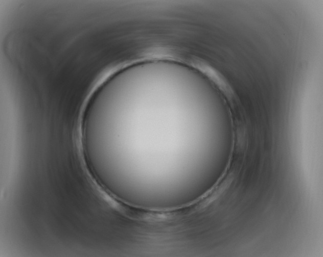 X0000114441286200910161348