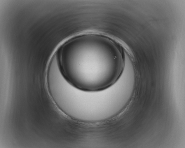X0000114441288200910161348