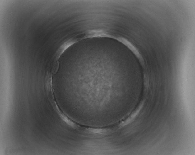 X0000114441289200910161348