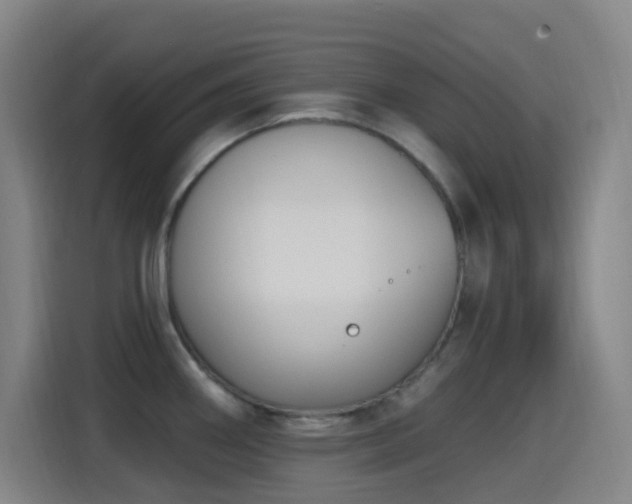 X0000114441290200910161348