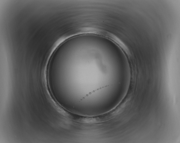 X0000114441291200910161348