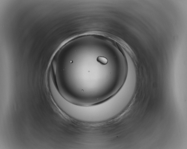 X0000114441292200910161348
