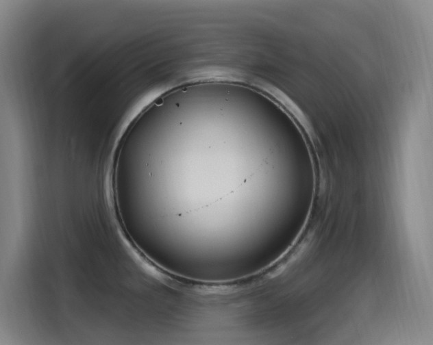 X0000114441293200910161348