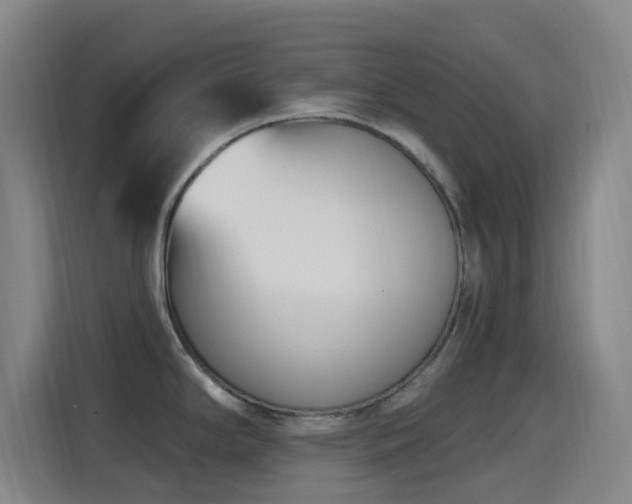 X0000114441294200910161348