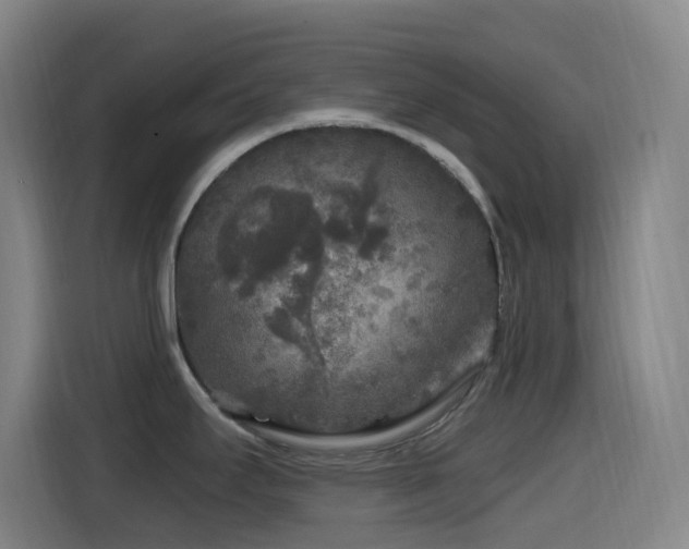 X0000114441295200910161348
