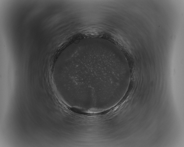 X0000114441297200910161347