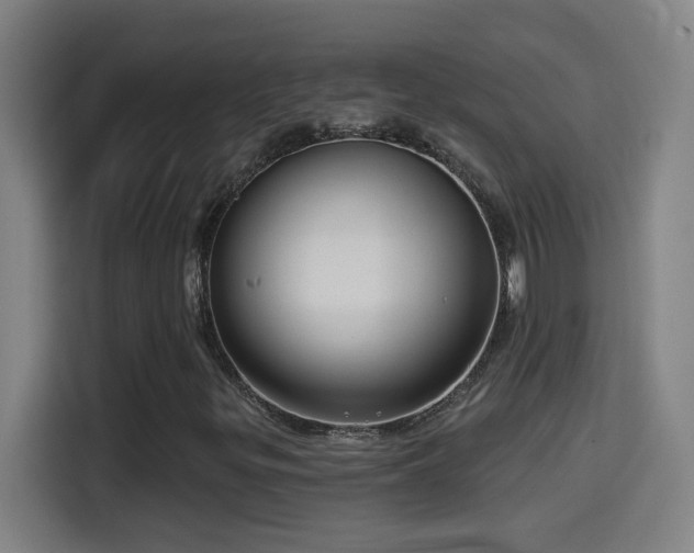 X0000114441299200910161347