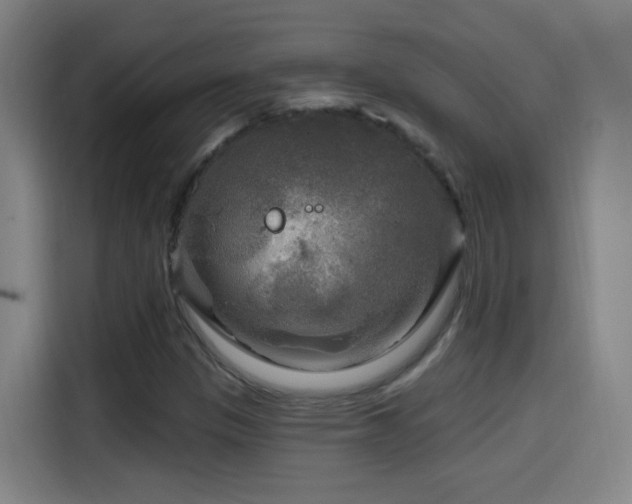X0000114441305200910161347