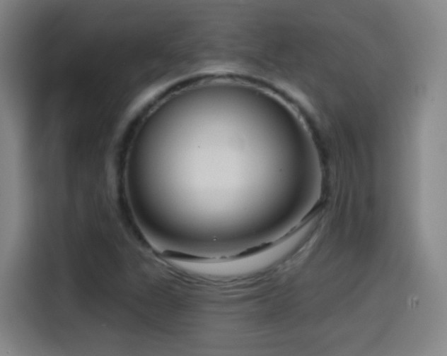 X0000114441311200910161347