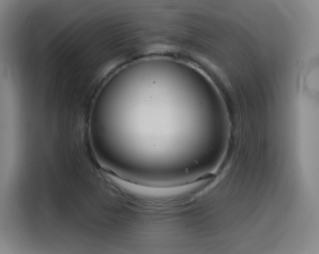 X0000114441313200910161347