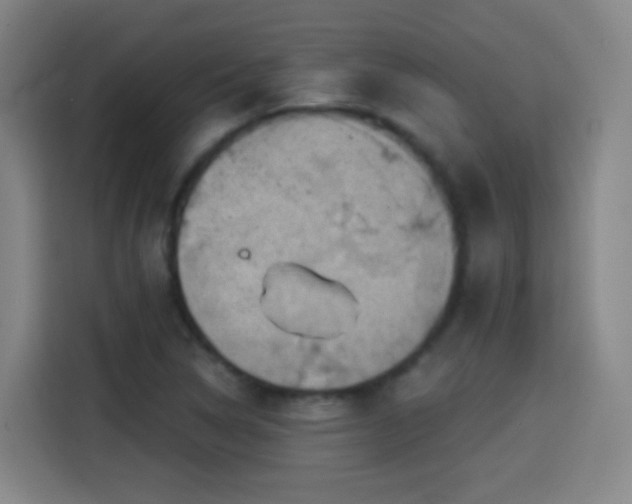X0000114441314200910161347