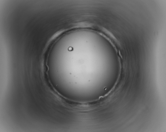 X0000114441315200910161347
