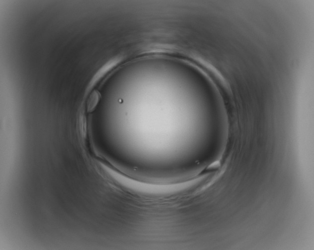 X0000114441317200910161347