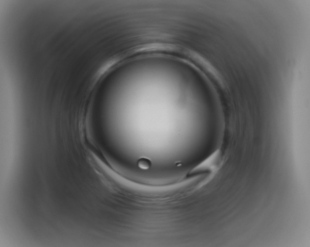 X0000114441321200910161347
