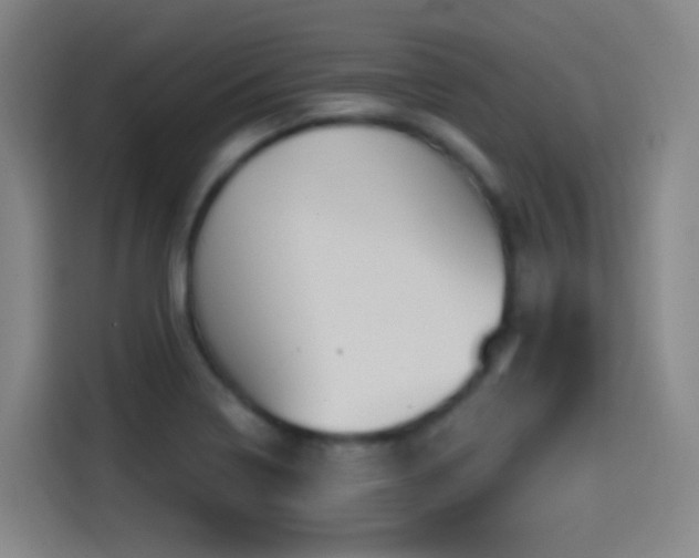 X0000114441322200910161347
